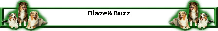 Blaze&Buzz